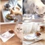 Нова хранилка за котки / малко куче повдигнати Купи за храна и вода със стойка, снимка 7