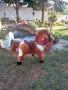 ПЛЮШЕНА ИГРАЧКА КОНЧЕ , снимка 12