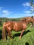 Продавам БТК ….., снимка 4