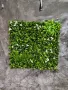 Изкуствено озеленяване по проект , снимка 11