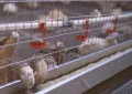 Продавам Ферма,автокъща,автомивка на главен път   Е-79, снимка 6