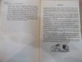 Книга "Изумително проста история на...-Дж.Фарман" - 192 стр., снимка 5