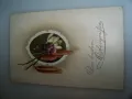 Стара австрийска великденска пощенска картичка 1910г., снимка 2