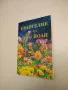 Магия, гадаене, съдба - Наина Владимирова, снимка 4
