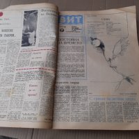 Вестник СЕПТЕМВРИЙСКА ПОБЕДА 1983 г Плевен - 77 броя, снимка 2 - Антикварни и старинни предмети - 42342950