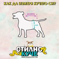 Хигиенни кучешки гащи с тиранти дрехи Гащи за женско разгонено куче Хигиенна дреха за куче, снимка 17 - За кучета - 27041327