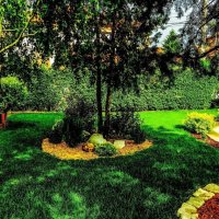 Цветен дървесен Мулч , снимка 5 - Тор и почвени смеси - 44462582