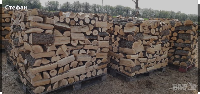 Дърва за огрев, снимка 1