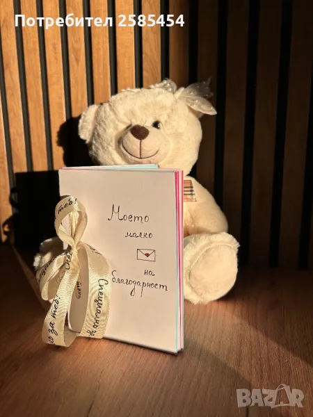 Мече-пощальон с писмо на благодарност, снимка 1