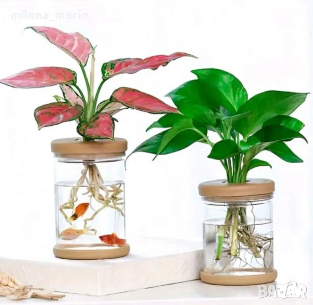 Саксия за водно отглеждане на растения, снимка 1
