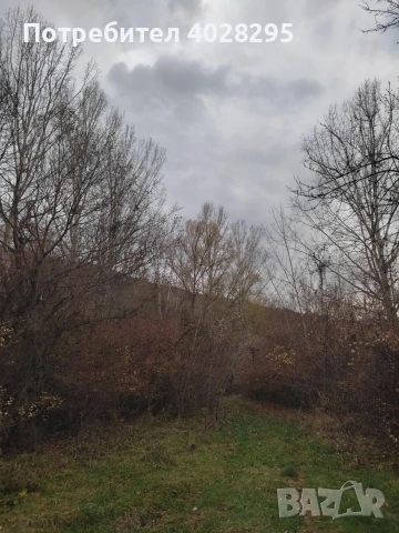 Имот в с.Габер, община Драгоман 