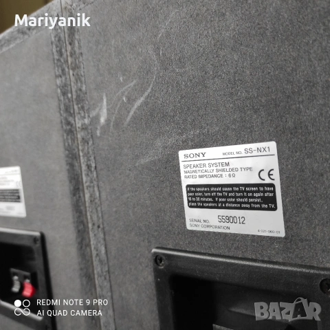Sony Ss-NX1, снимка 6 - Тонколони - 53381672