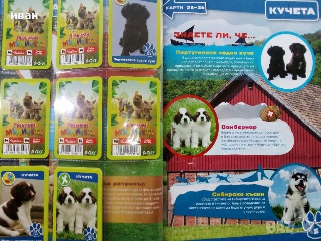 Албум с карти "Любими мъничета" Пикадили, снимка 8 - Колекции - 38709028