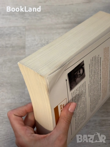 12 правила за живота. Противоотрова срещу хаоса| Джордан Питърсън, снимка 5 - Други - 53762267