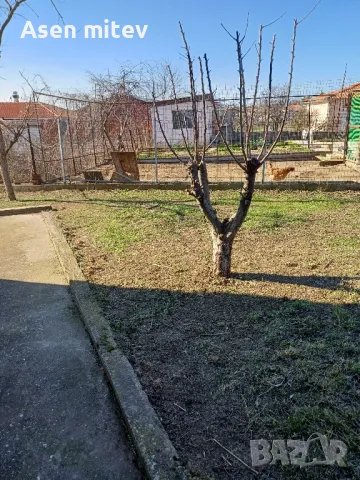 Почистване на  дворове и градини, снимка 7 - Други почистващи услуги - 48963395