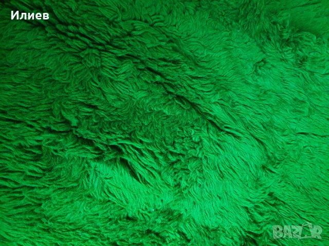 Китеник едноцветен