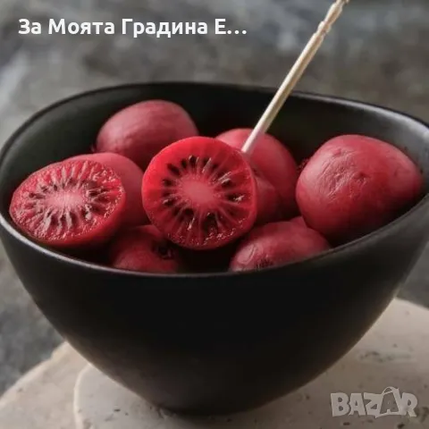 Червено Киви 🥝, снимка 4 - Градински цветя и растения - 49762001