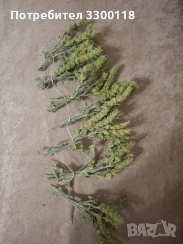 Мурсалски чай, снимка 2 - Домашни продукти - 53089543