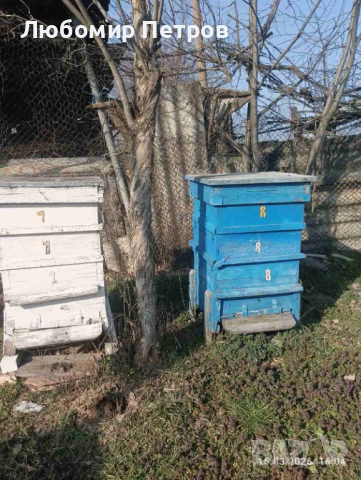 Пчелни кошери - 2 бр.