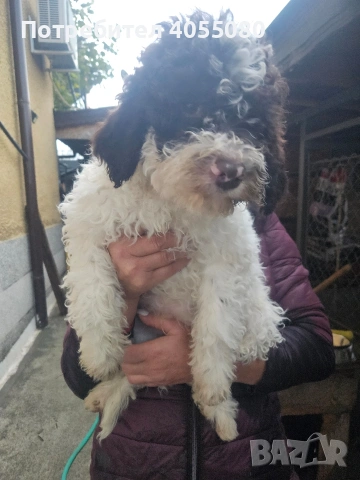 Лагото Романьоло , снимка 5 - Други - 52819134