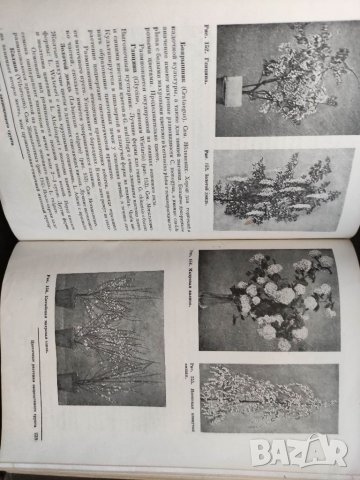 Продавам книга " Цветоводство" Г. Киселев , снимка 5 - Специализирана литература - 33868438