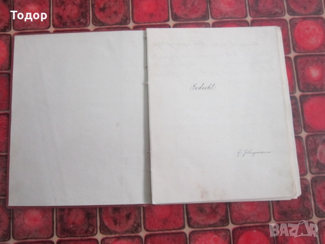 Стар немски дневник лексикон от 1912 до 1924, снимка 2 - Колекции - 36100244