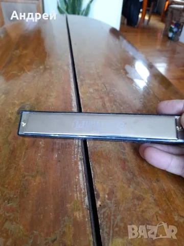 Хармоника Bontempi , снимка 4 - Духови инструменти - 47464238