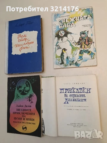 Снежната баба - Лилия Рачева, снимка 1