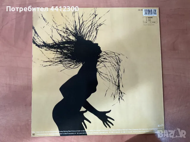 Грамофонна плоча 12”, снимка 2 - Грамофонни плочи - 49669063