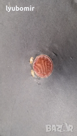 12 инчов стар руски говорител, снимка 2 - Тонколони - 52442690