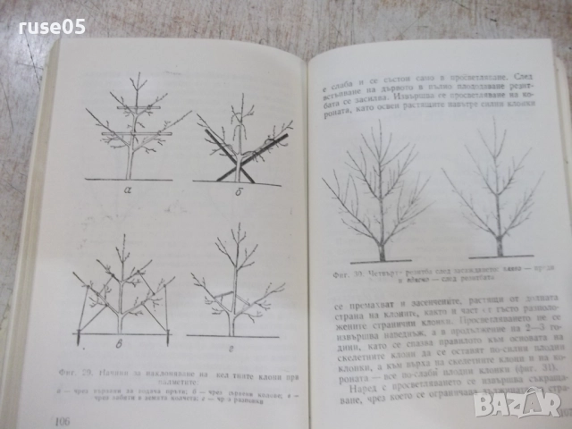 Книга "Малка овощна градина-Т.Ангелов/С.Иванов" - 184 стр.-1, снимка 6 - Специализирана литература - 51761656
