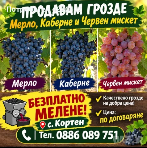 Продавам грозде за вино и ракия