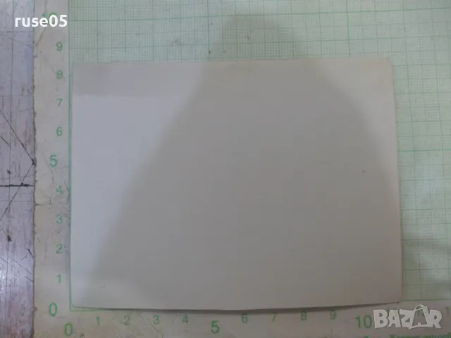 Снимка стара на българи на пикник в Америка, снимка 2 - Колекции - 48071889