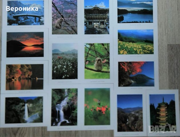 Японски картички и книги за изкуство, снимка 12 - Чуждоезиково обучение, речници - 39424418