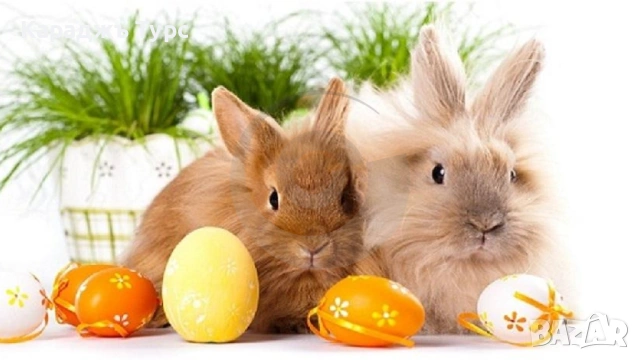 Великден в Карпатите