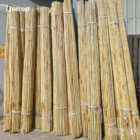 Здрави и надеждни колчета за добари! Топ цена!, снимка 4 - Други - 53680016