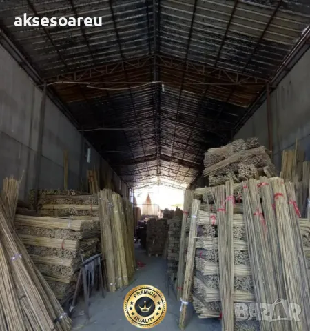 Висококачествени Семена от бамбук Moso Bambo декоративни растения за дома и двора бамбуков разсад, снимка 15 - Сортови семена и луковици - 49007699