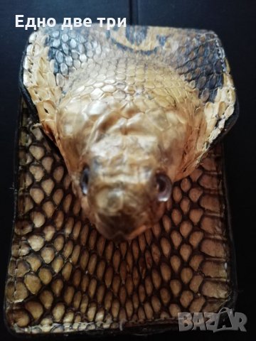 Калъф"Глава Кралска кобра" / Лула"Amadeus Pipes"  , снимка 9 - Антикварни и старинни предмети - 34172769