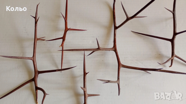 Бодли от дърво за декорация