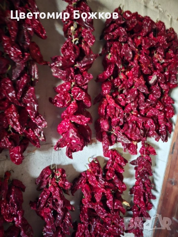 🌶️ Домашни сушени червени чушки – истински вкус от градината! 🌶️ НА ЕДРО!!!, снимка 14 - Домашни продукти - 52280937