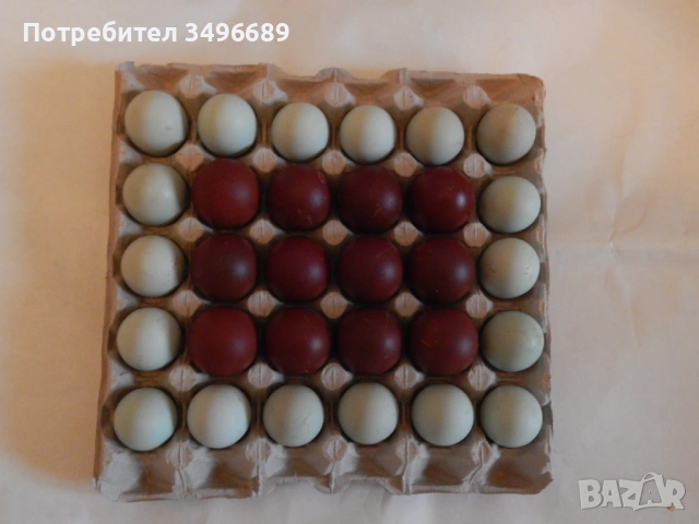 Продавам Кокошки и Петли, снимка 3 - други­ - 52770537