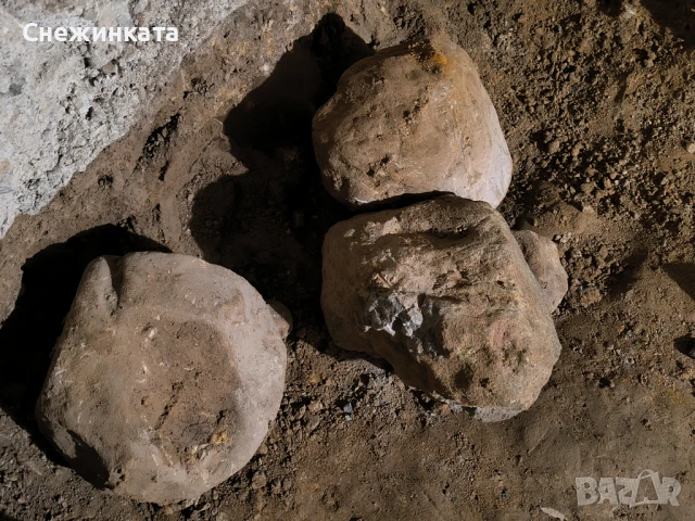 Подарявам големи камъни за алпинеум/декорация, снимка 4 - Други - 51127367