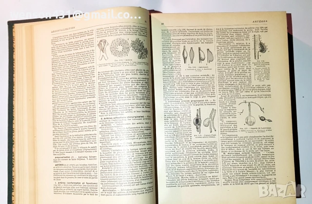 LAROUSSE MEDICAL ILLUSTRE, снимка 6 - Специализирана литература - 51321477