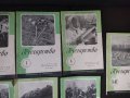 9 броя на списание Пчеларство от 1962г., снимка 3