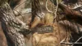 SASTA REALTREE Extreme Performance Jacket размер 2-3XL за лов яке водонепромокаемо - 889, снимка 5