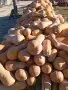 Продавам тикви-цигулки, снимка 3