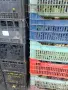 Продавам грозде букет - 0,75 евро/кг, снимка 5