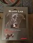 Audioquest Black Lab Subwoofer 3m, снимка 2