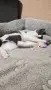 Момиченце на 3 месеца търси дом, снимка 8