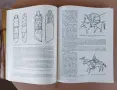 История на българския костюм, снимка 10